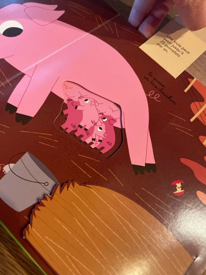 Livre cartonné Nathan Mes Kididoc à jouer à la ferme - photo numéro 9