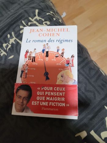Le roman des régimes Jean Michel Cohen