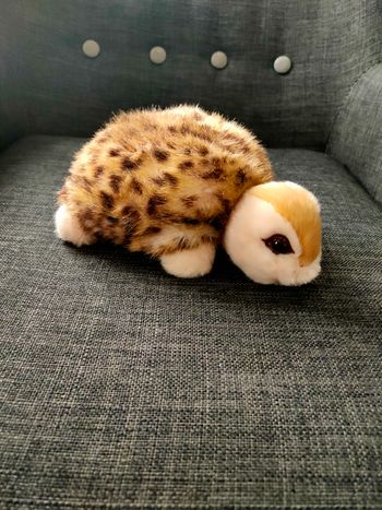 Peluche tortue