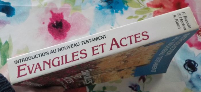 EVANGILES ET ACTES Introduction au Nouveau Testament - photo numéro 4