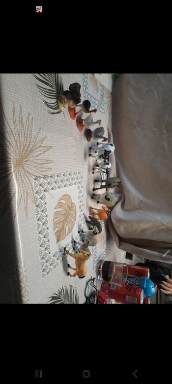 Animaux