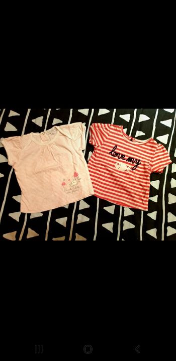 Lot de 2 tee shirt