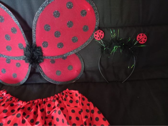 Déguisement coccinelle papillon 3-6ans - photo numéro 2