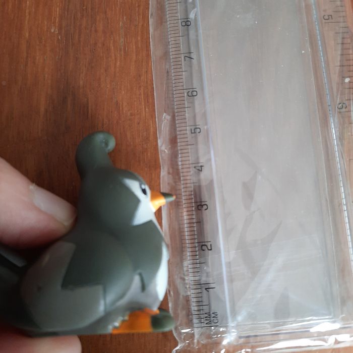 Etourvol - photo numéro 2