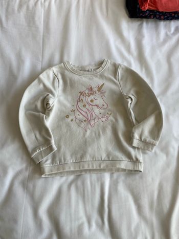 Pull licorne