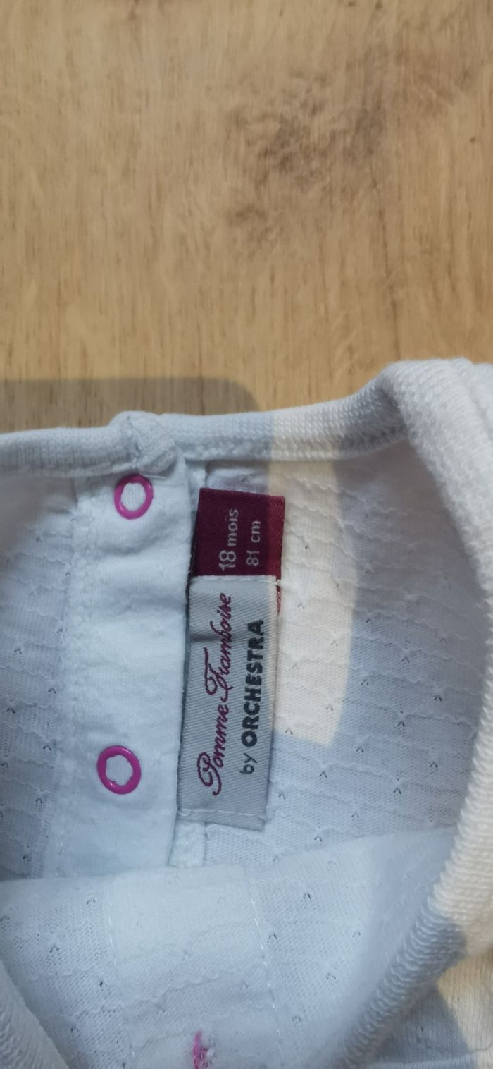 Bel ensemble pantalon / tee shirt 18 mois - photo numéro 4