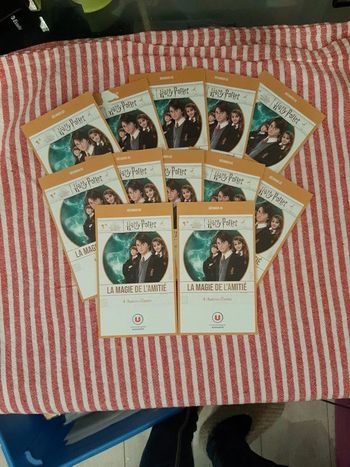 Lot de 12 pochettes harry potter la magie de l'amitié