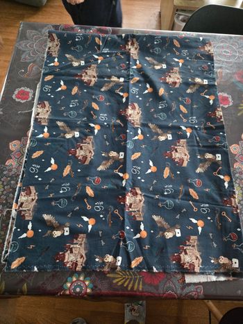 Panneau de tissus motif harry Potter bleu marine
