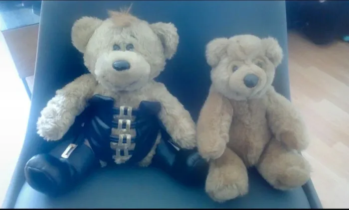 Lot de 2 peluches