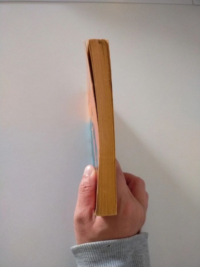 Livre Maupassant Boule de Suif - photo numéro 3
