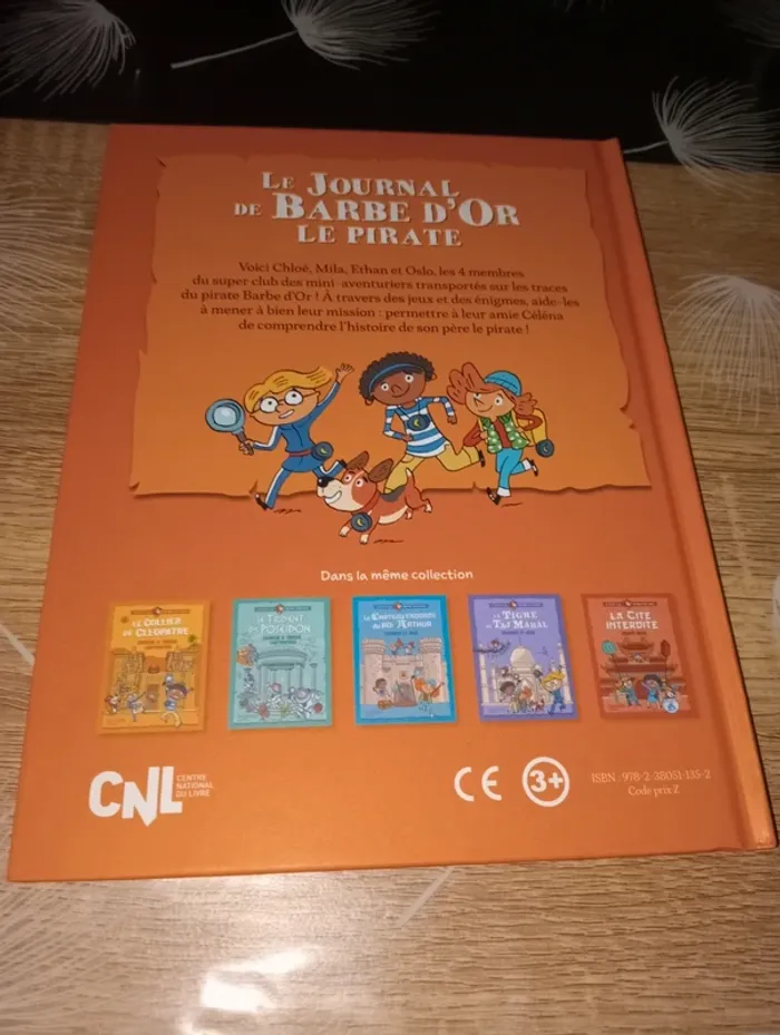 Livre enfant le journal de barbe d'or le pirate - photo numéro 2