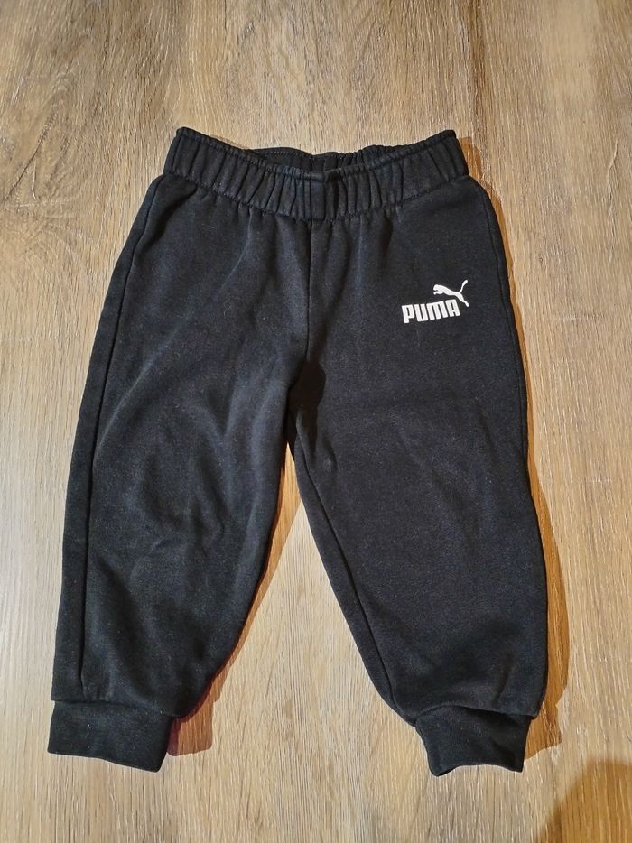 Jogging puma - photo numéro 2