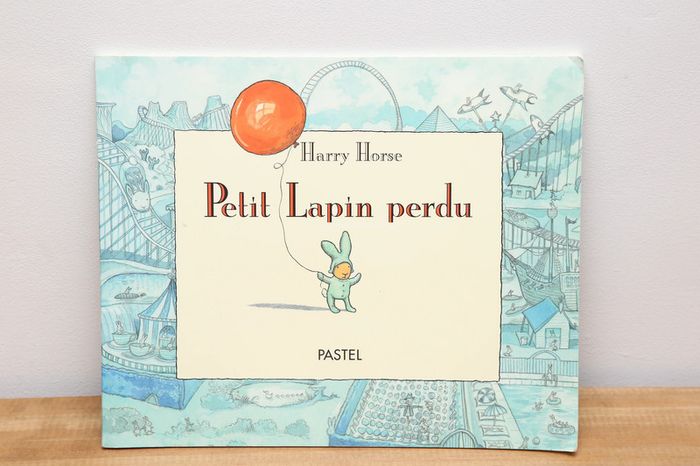Petit lapin perdu