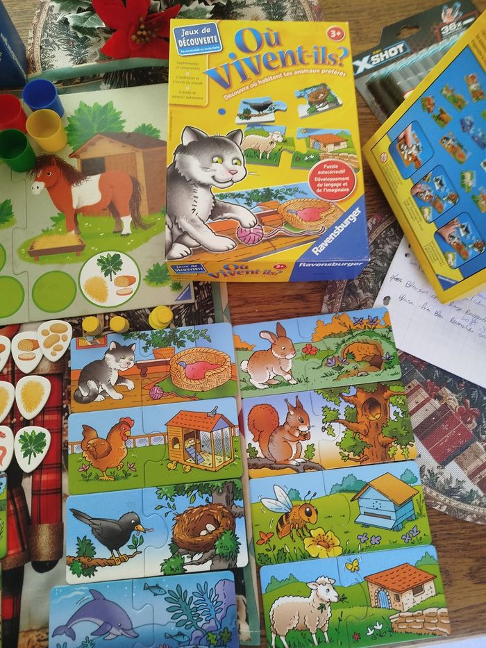 Lot de deux éducatifs - photo numéro 5