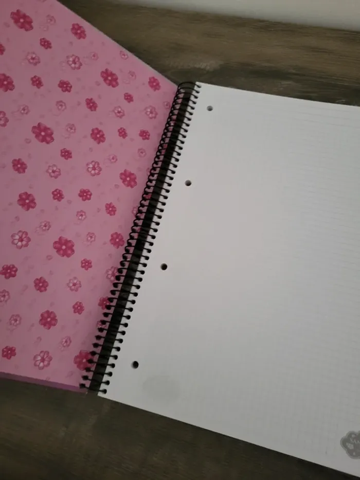 Santoro Gorjuss- grand cahier à spirales - photo numéro 3