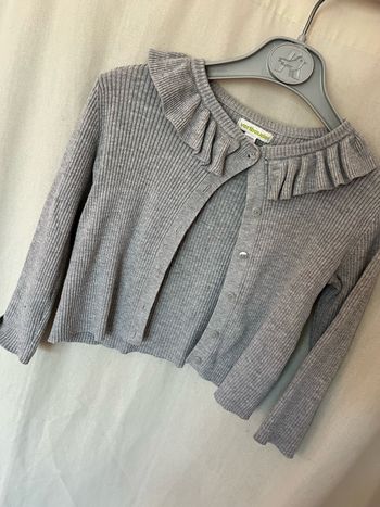 Gilet gris