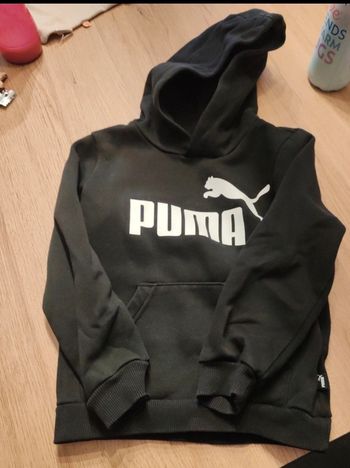 Pull capuche puma