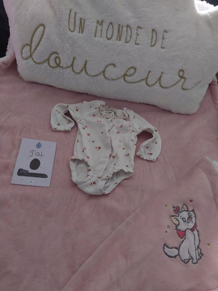 Lot naissances - photo numéro 9