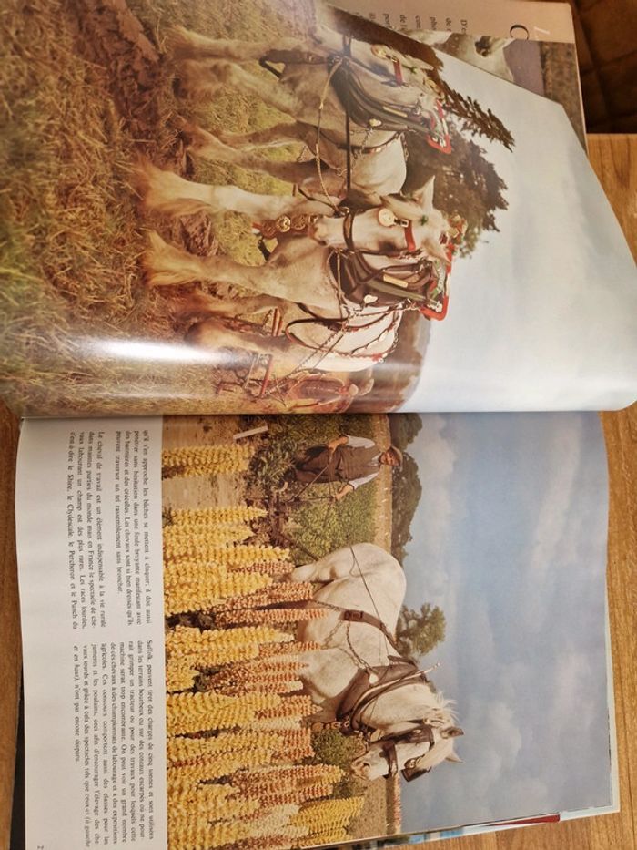 Livre la passion des chevaux - photo numéro 3