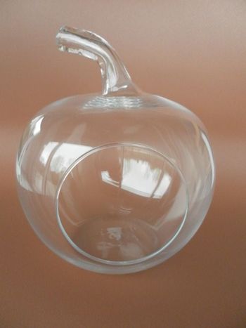 terrarium verre