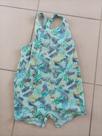 Combishort vert clair motifs perroquets