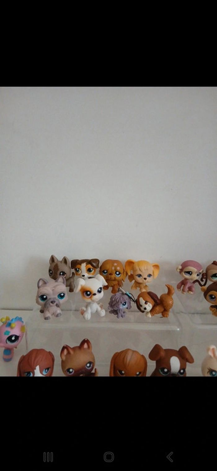Littlest petshop - photo numéro 2