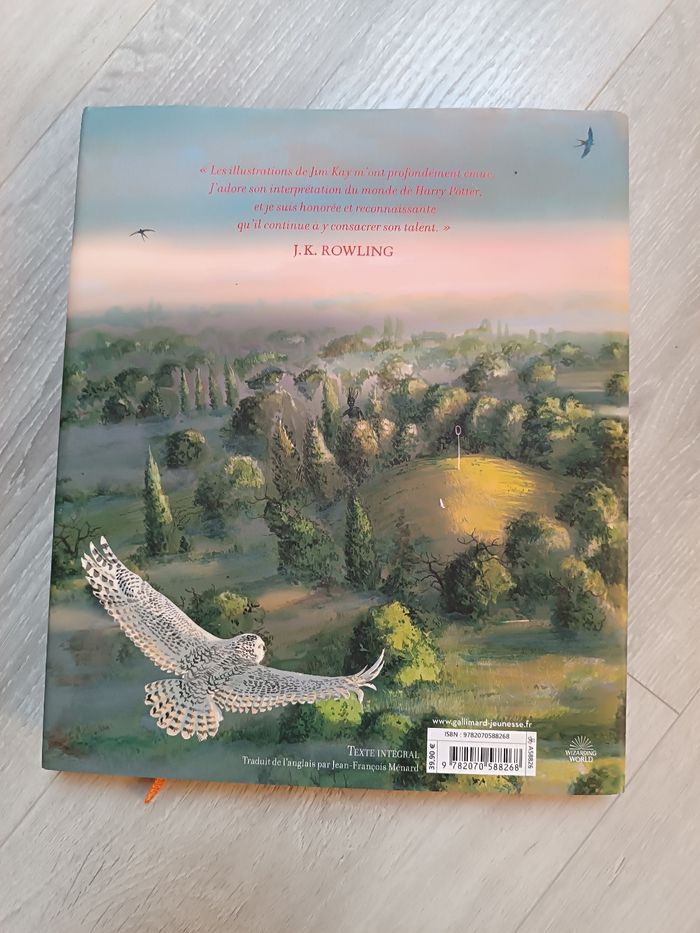 Harry Potter et la chambre des secrets - photo numéro 2