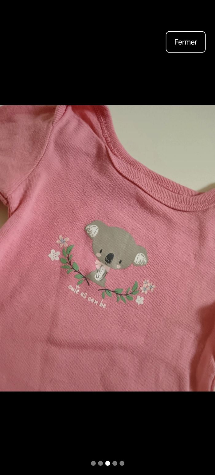 Bodie rose koala - photo numéro 3