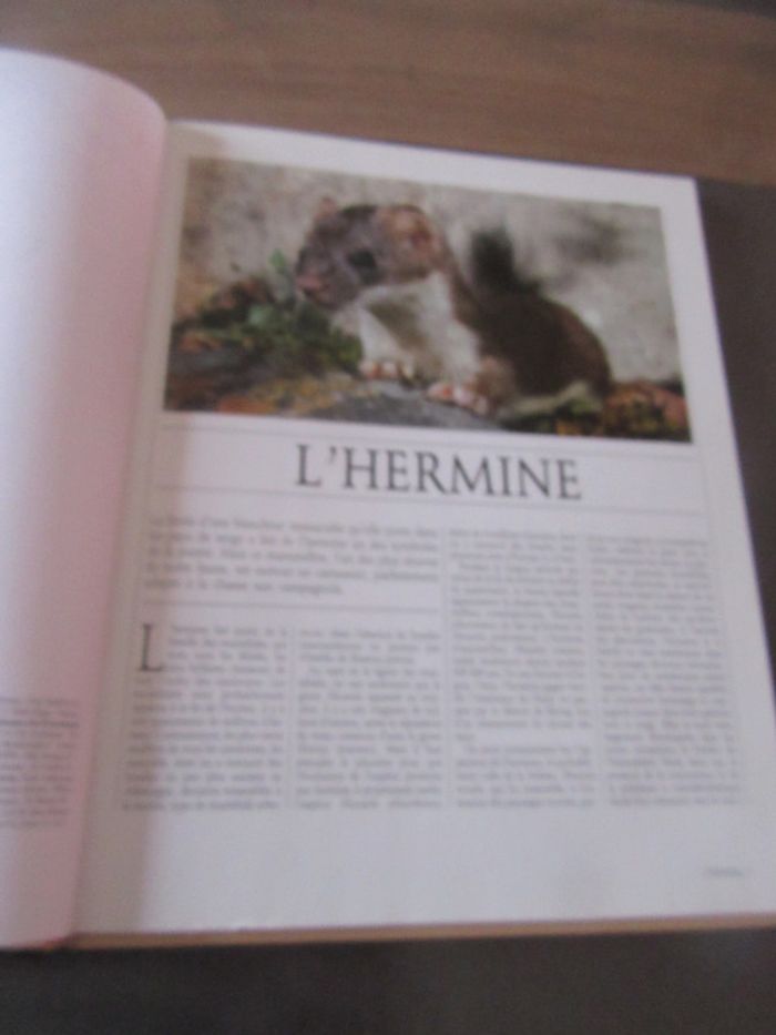Livre "Animaux du monde Vie sauvage Larousse - photo numéro 5