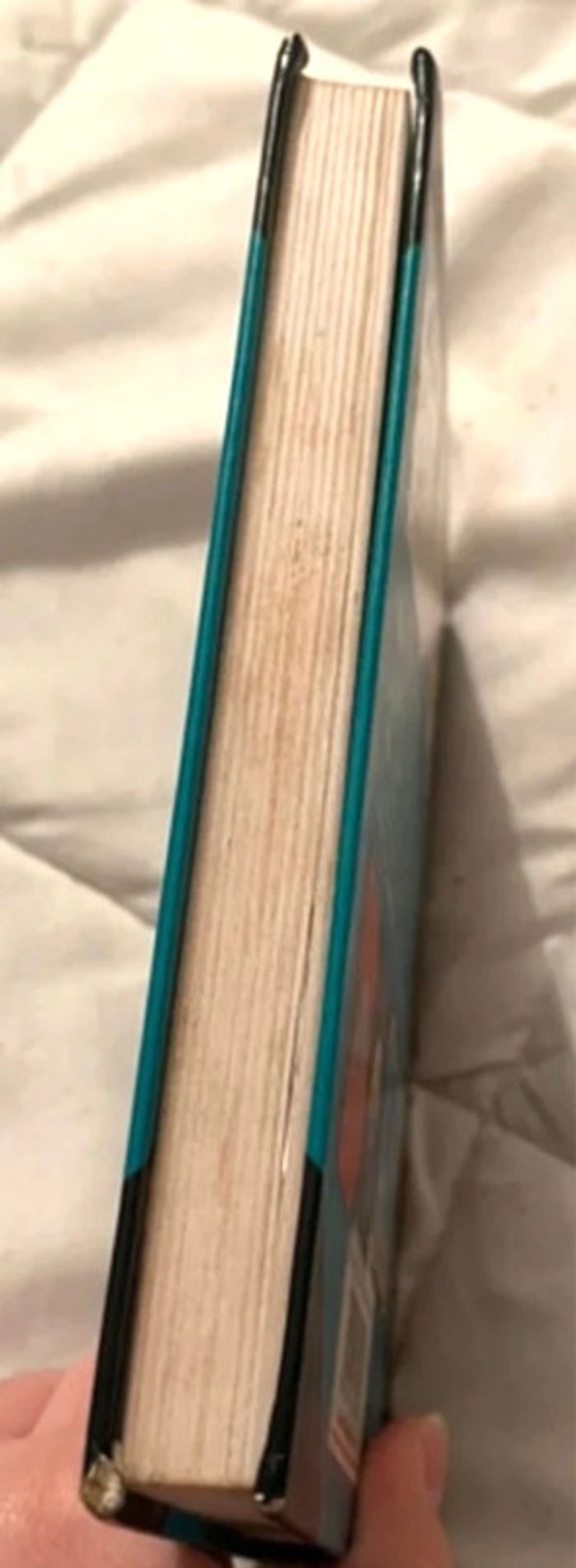 Très beau livre pour adulte et ado - photo numéro 4