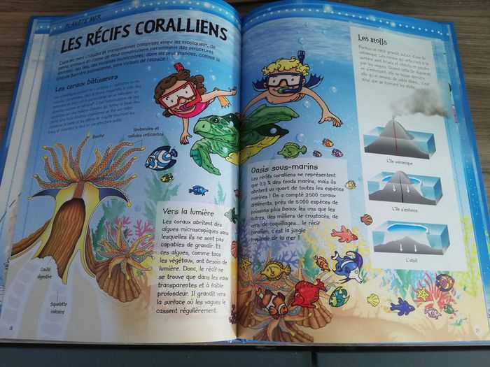 Livre à la découverte de la mer - photo numéro 2