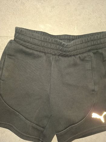 short puma
