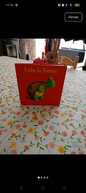 Livre lulu la tortue 
