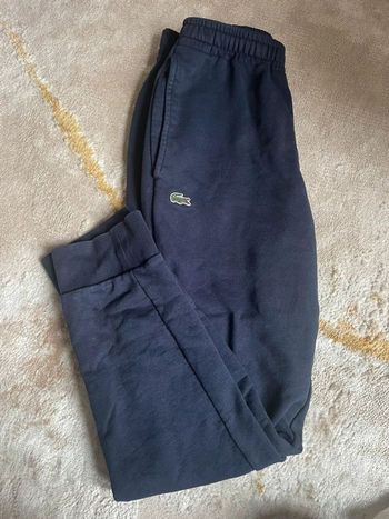 Jogging Lacoste