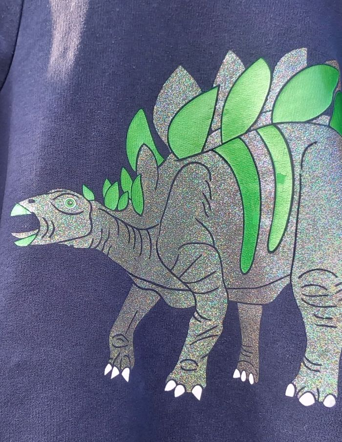 Sweat à capuche C&A 🦖 - photo numéro 4