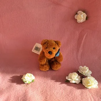 Nici chien
