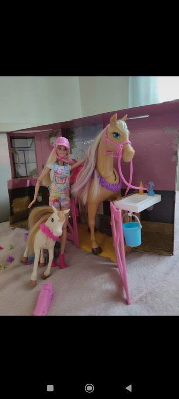 Barbie poupée toilettage des chevaux