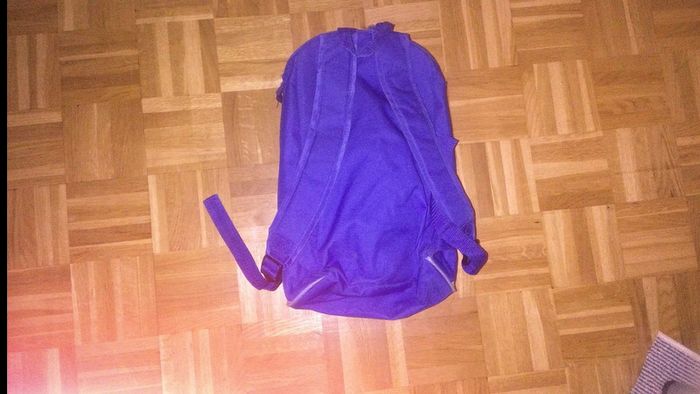 Sac a dos ratatouille - photo numéro 2