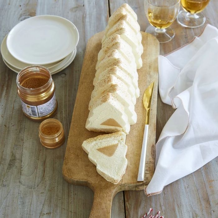 Moule a bûche sapin guy demarle neuf