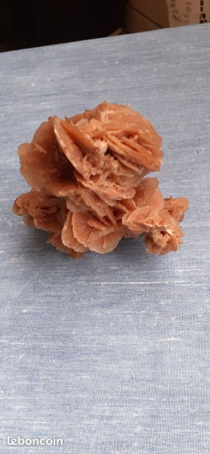 Rose des sables - photo numéro 2