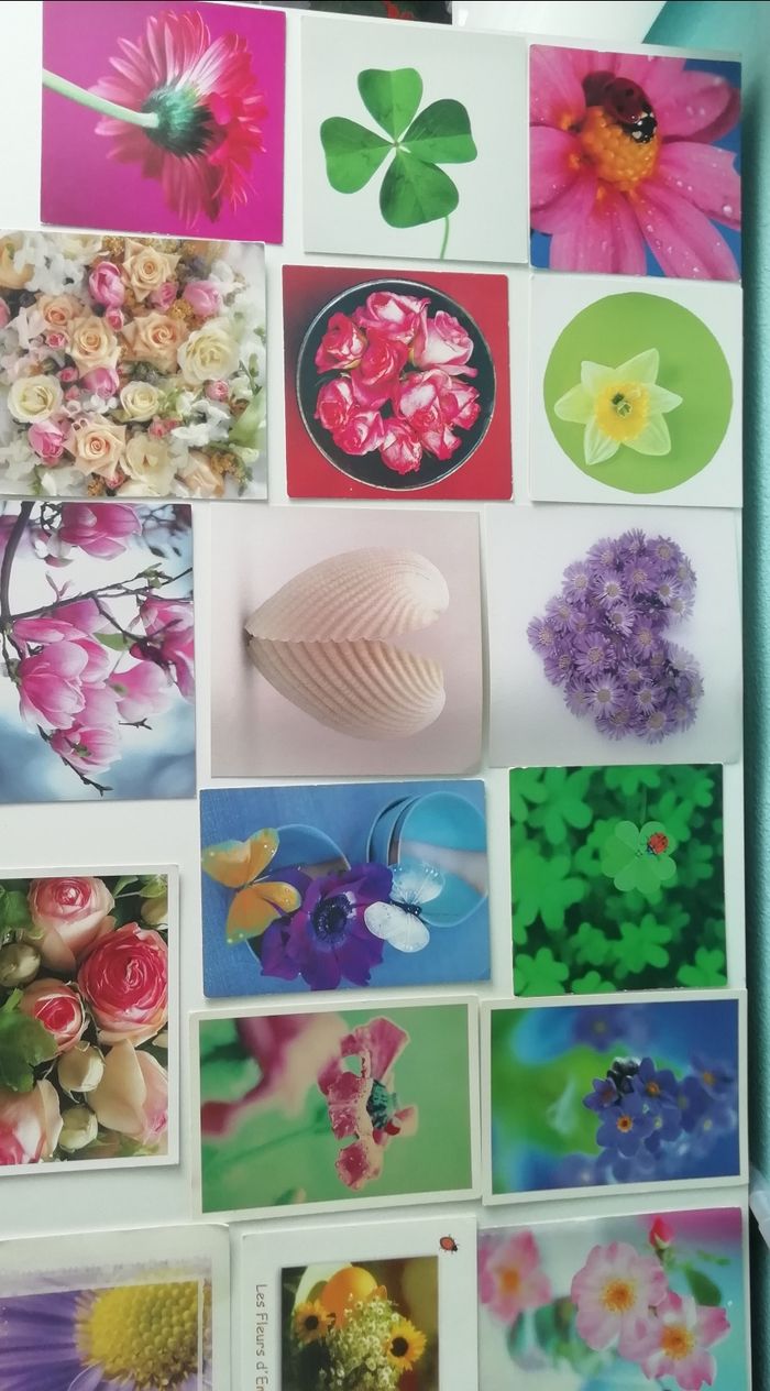 Cadres et cartes de voeux affiche - photo numéro 3