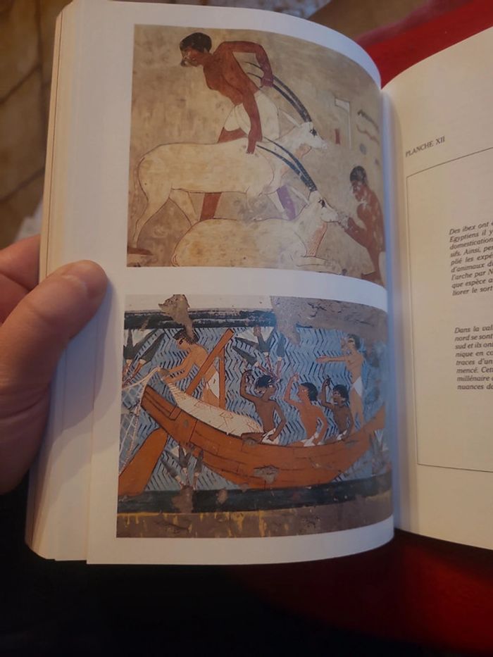 L'homme et les déluges - photo numéro 4