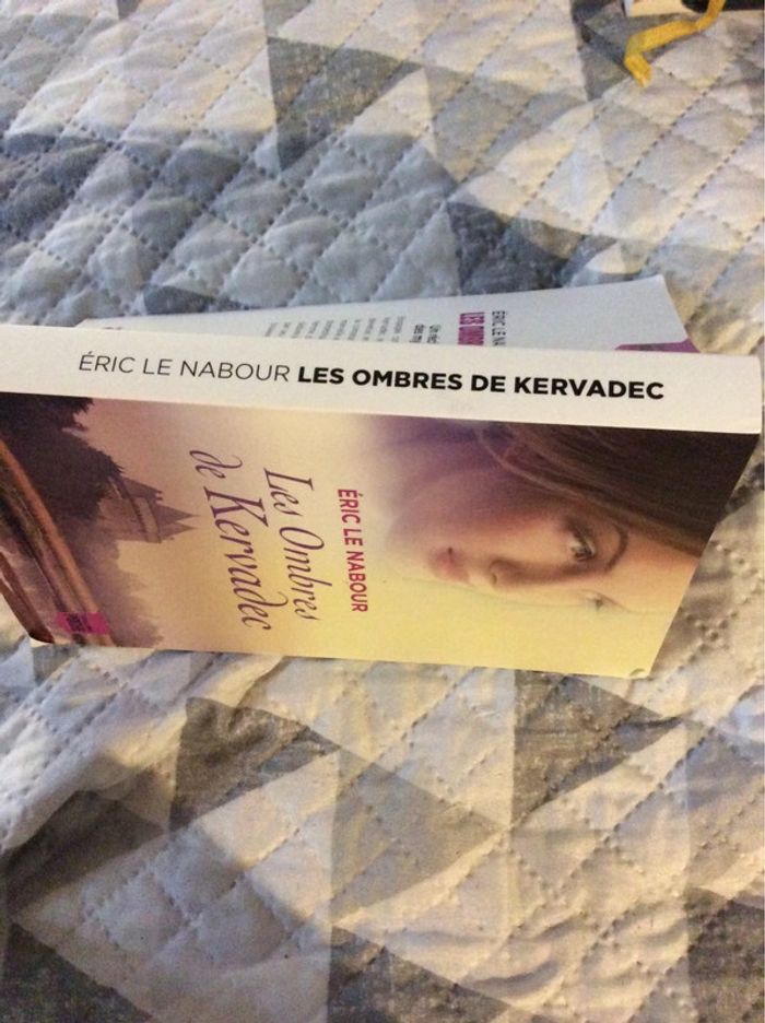 #les ombres de Kervadec Éric Le Nabour. L) - photo numéro 4