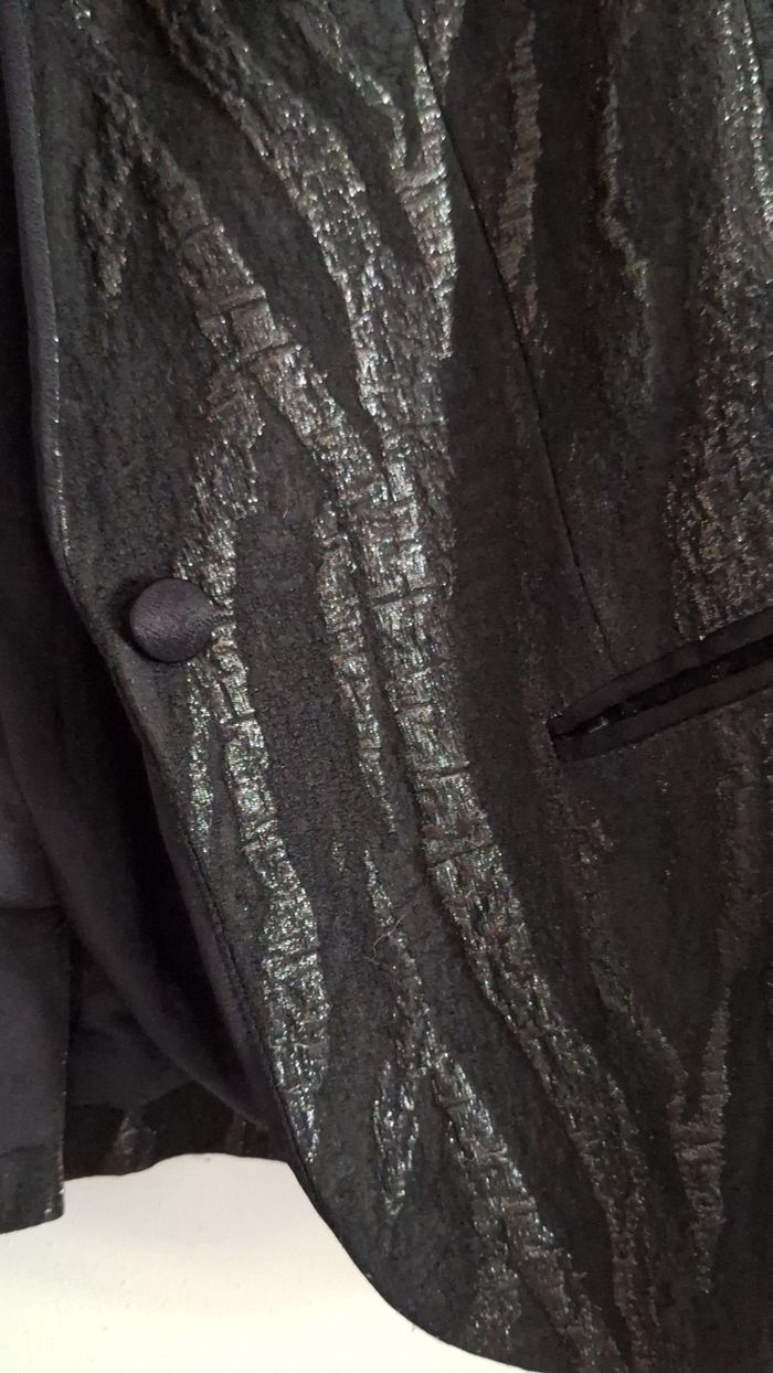 Blazer de fêtes à zébrures brillantes - photo numéro 4
