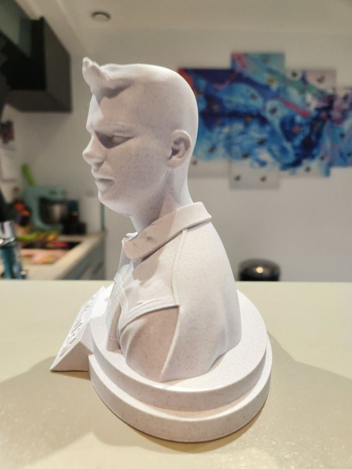 🎶 Star Académie – Julien Lieb – Buste collector – Figurine décorative - photo numéro 2