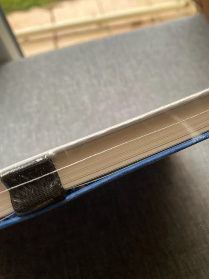 Rare Carnet Famous Face journal Dog Neuf - photo numéro 2