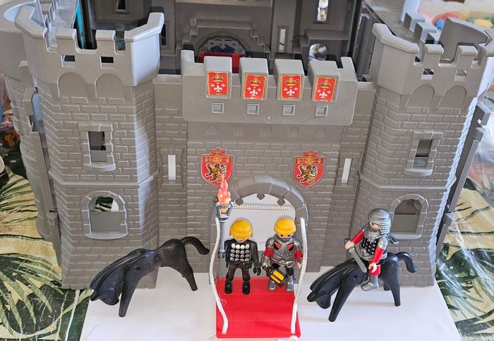 Châteaux avec des chevaliers playmobil