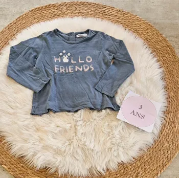 T-shirt manche longue hello friends 3 ans fille