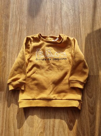 Pull Orchestra 12 mois