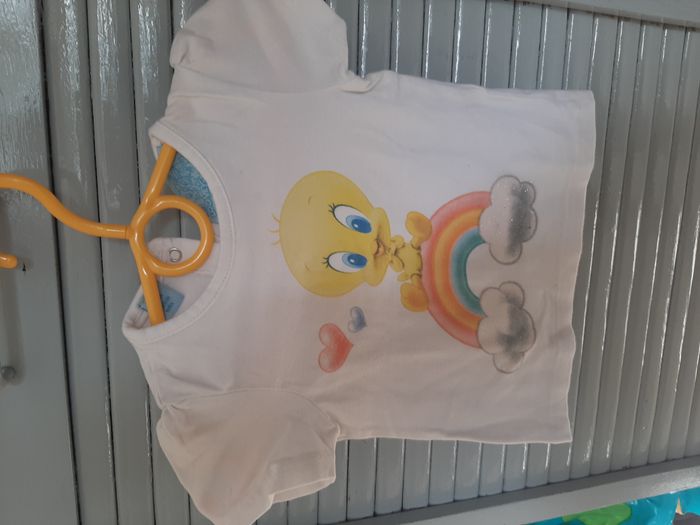 10 tee shirts et 2 shorts - photo numéro 7